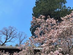 -潭柘寺景区