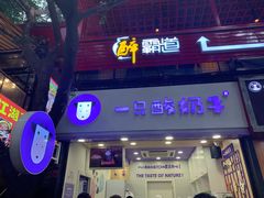 -一只酸奶牛(八一路店)