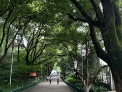 -杭州半山国家森林公园