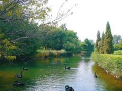 -长白岛森林公园