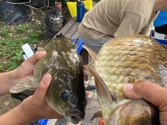 -酷鱼垂钓CLUB(朝阳区博大路店 )