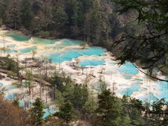 -黄龙山原始森林景区