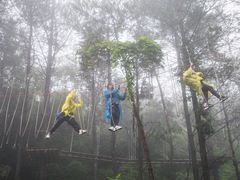 -梦幻奥陶纪景区