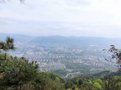 -缙云山景区