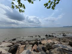 -深圳湾公园(南山区)