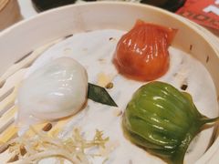 -点都德·毕德寮