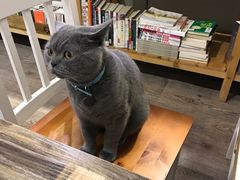 -小时光咖啡馆(开森度假森林店)