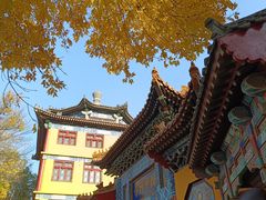 -挂甲禅寺