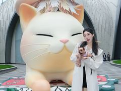 -上海尚嘉中心