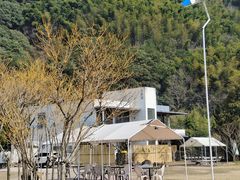 -新建村梅花