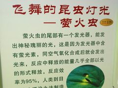 -上海昆虫博物馆