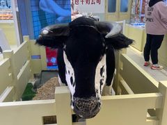 -红星前进面包牛奶公司(君太店)