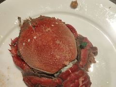 -大中华希尔顿酒店-念自助餐·嗨啤·小龙虾