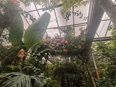 -呀路古热带植物园