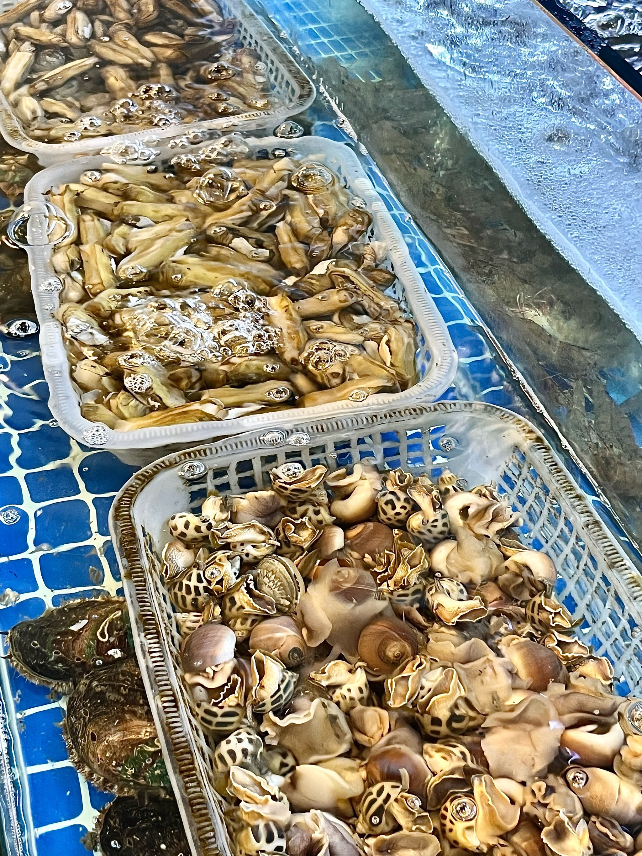 来杭州良渚必吃的砂锅焗海鲜🦞那叫一个地道♨️