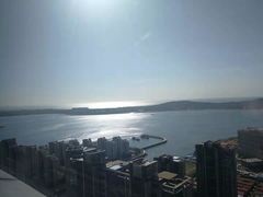 -柴犬小屋·柴餐厅·狗咖食堂(金鼎广场店)