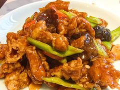 焦溜肥肠-新侨小馆(东直门北小街店)