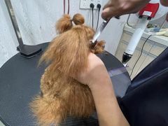 -宠颐生动物医院·小陆分院