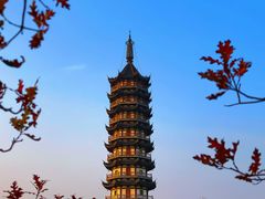 -上海海湾国家森林公园