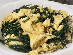 -煲来饱去冷水鱼