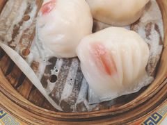 -憶廟街 X 沙角邨(太古城店)