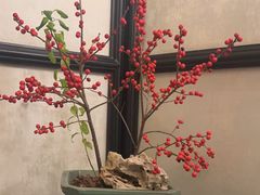 -31号公馆(黄兴广场白果园店)