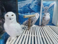 -成都浩海立方海洋公园