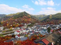 -四明山国家森林公园