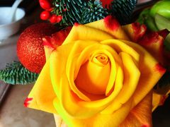 -三利音·浦之舟(滨江大道店)