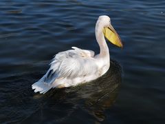 -沈阳森林动物园