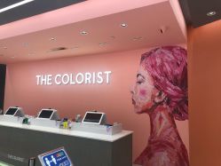前台-THE COLORIST调色师