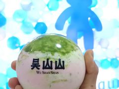 -吴山山·椰子酸奶(天河南店)