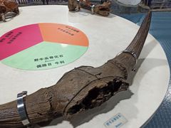 -吉林省自然博物馆