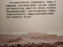 -青海藏文化博物院