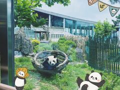 -大连森林动物园