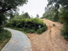 -青龙山国家森林公园