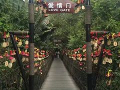 -呀诺达热带雨林
