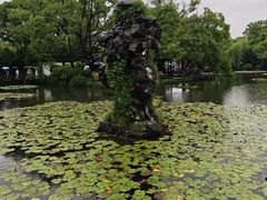 -西湖游船