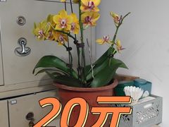 -花鸟鱼虫鲜花绿植市场(玉泉路店)