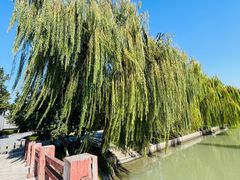 -东湖景区