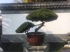 -水绘园