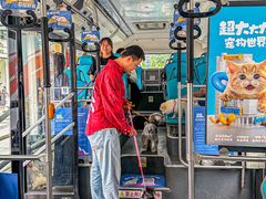 -帕帕拉兹宠物(亚洲旗舰店)