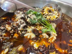 -重庆何乌鱼(南湖逸家店)