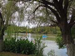 -东平国家森林公园