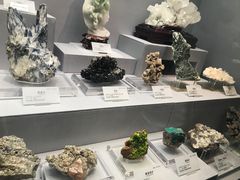 -湖南省地质博物馆