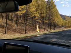 -塞罕坝国家级自然保护区