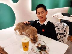 -飞行喵MR PILOT|猫舍·猫咖(静安大融城店)
