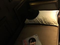 -武汉知音号
