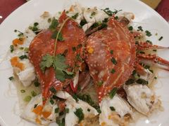 -荣誉国际酒店-云顶旋转餐厅