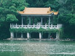 -深圳仙湖植物园